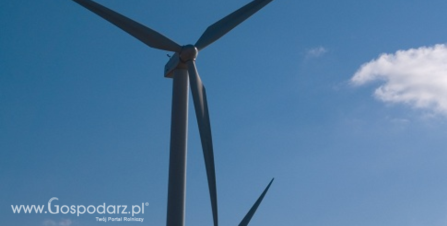Udział energii wiatru w pozyskaniu energii ze źródeł odnawialnych