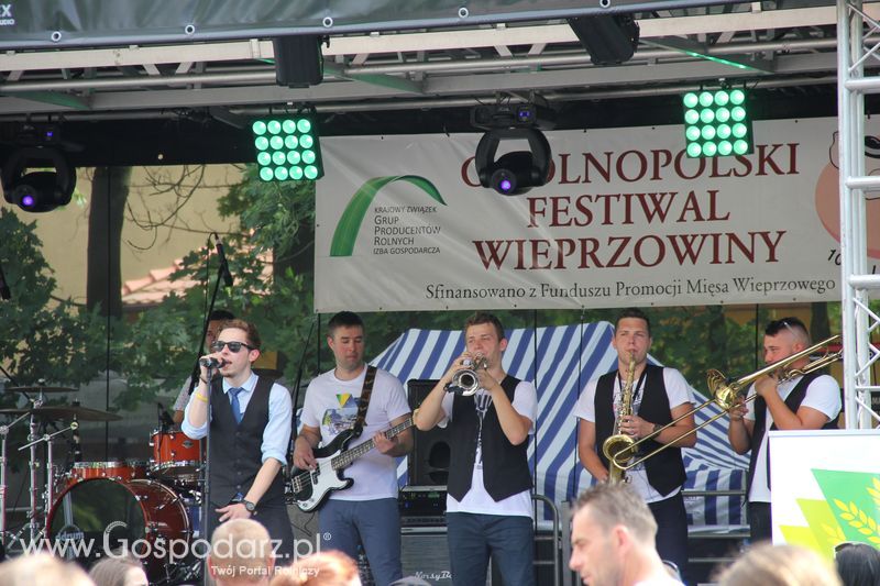 IV Ogólnopolski Festiwal Wieprzowiny - Koźmin Wlkp 2016