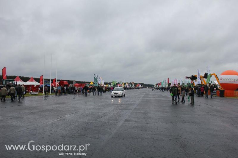 Polskie Zboża i Zielone Agro Show 2013