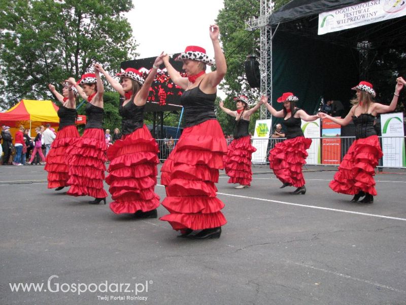 Festiwal Wieprzowiny w Koźminie Wielkopolskim 2013