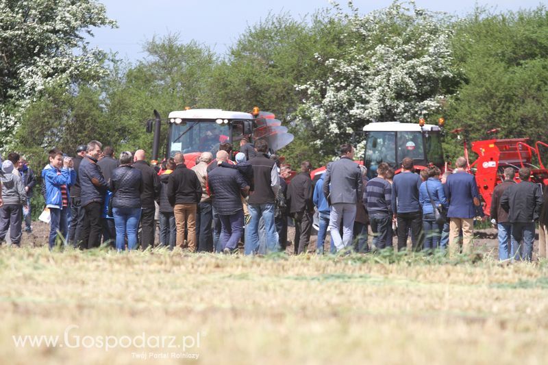 Majówka z Zetorem w Brzeziu