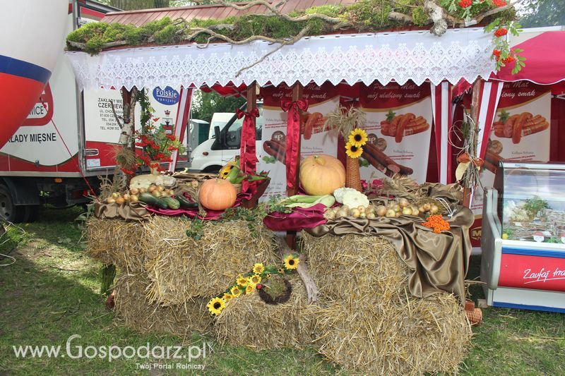 Ogólnopolski Festiwal Wieprzowiny w Łasinie