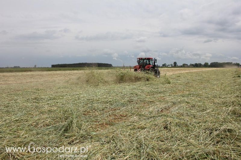 Pokazy polowe Romanów k/Krotoszyna