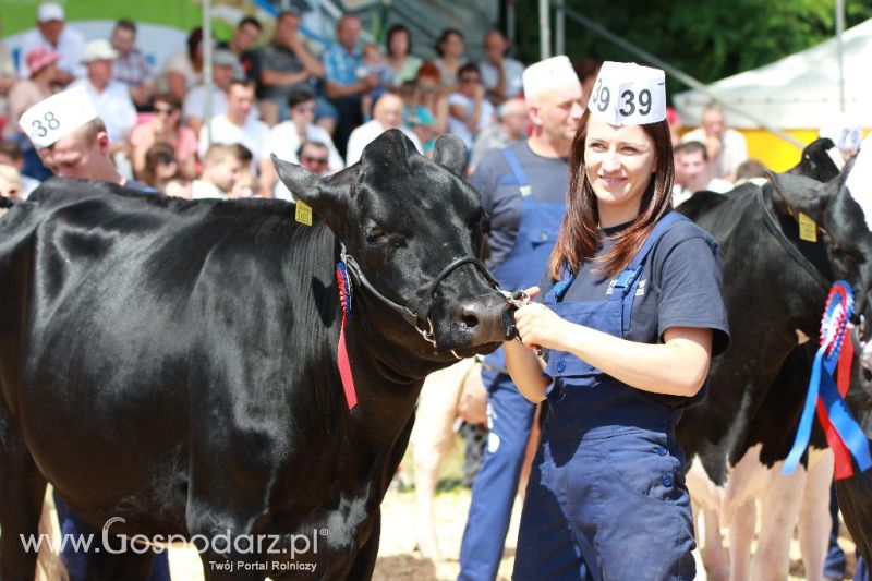 AGRO-TECH w Minikowie 2013