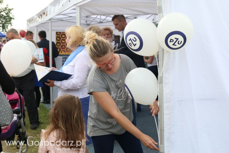 Regionalna Wystawa Zwierząt Hodowlanych i Dni z Doradztwem Rolniczym w Szepietowie 2017 (niedziela)