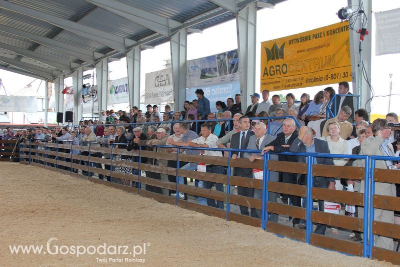 XVIII Regionalna Wystawa Zwierząt Hodowlanych w Szepietowie - niedziela