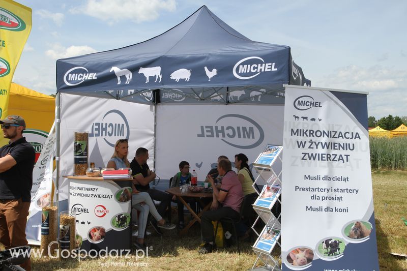 Zielone AGRO SHOW - Polskie Zboża 2015 w Sielinku