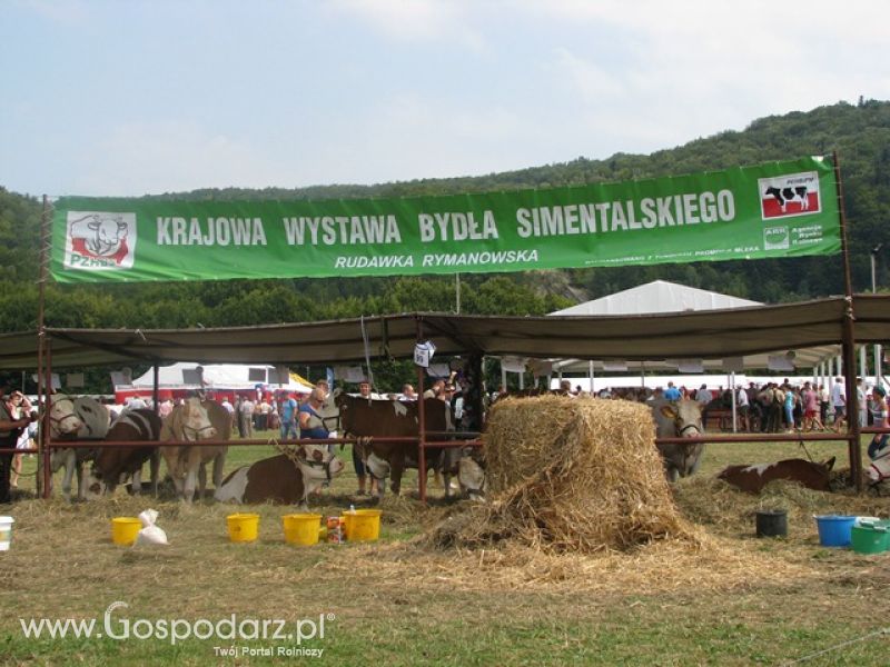 Krajowa Wystawa Ras Rodzimych Rudawka Rymanowska 2012 dzień 2