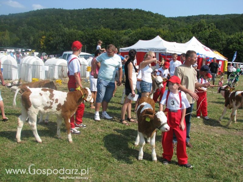 Krajowa Wystawa Ras Rodzimych Rudawka Rymanowska 2012 dzień 2