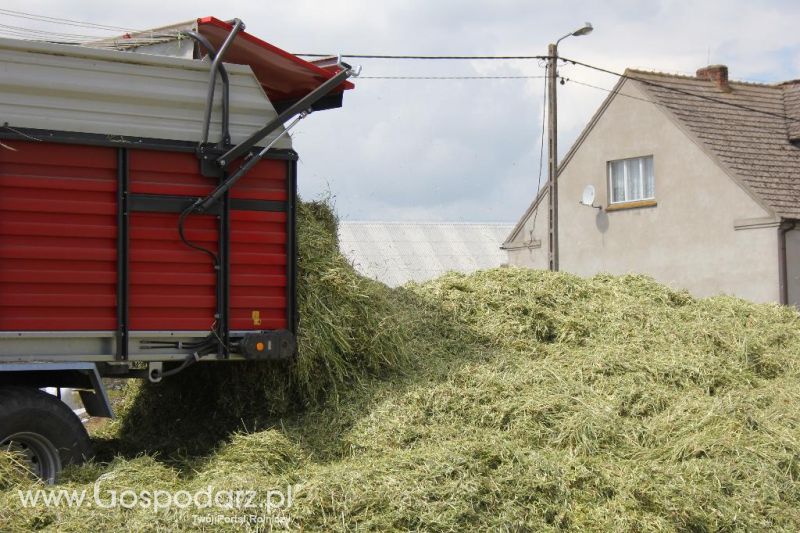 Pokazy polowe Romanów k/Krotoszyna