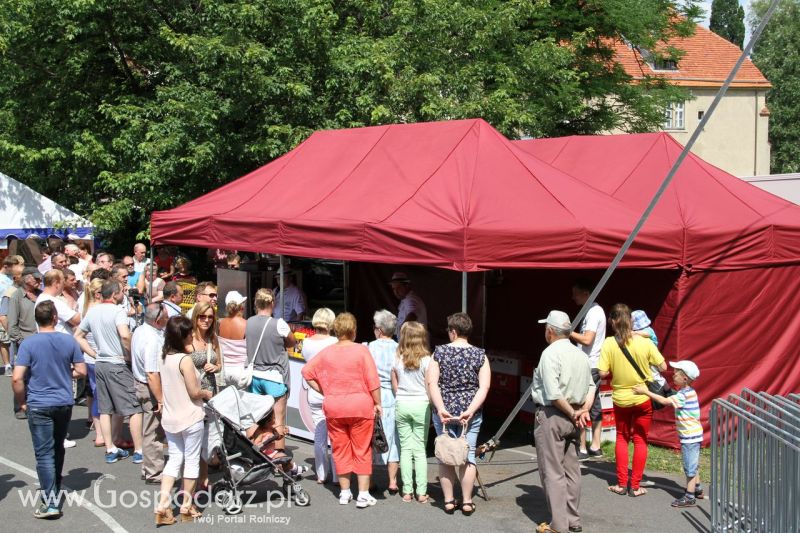 Festiwal Wieprzowiny w Koźminie  Wielkopolskim