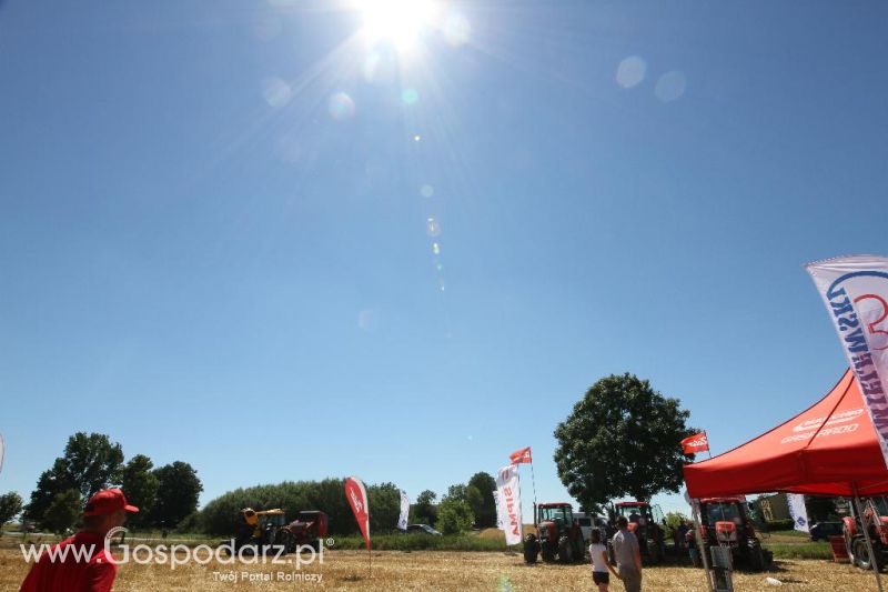 Zetor Family Tractor Show 2013 - Opatów