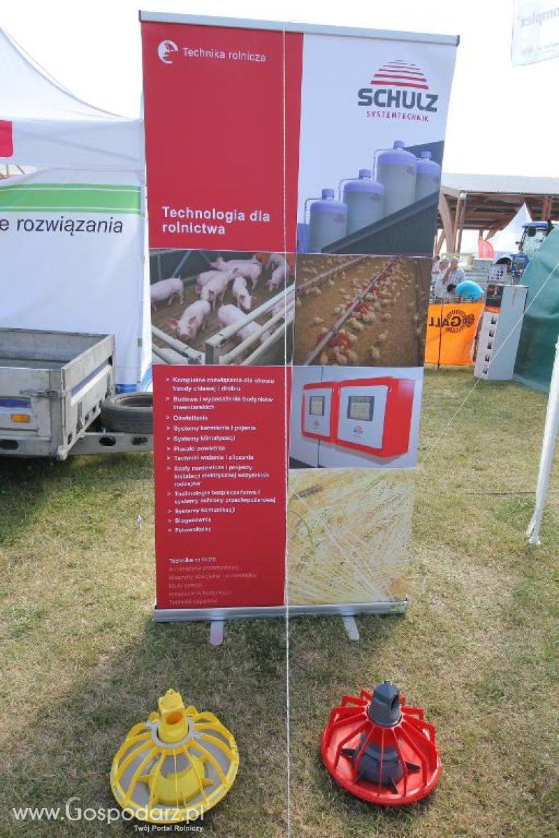 AGRO-TECH Minikowo 2014 - niedziela