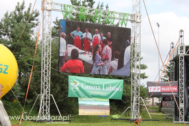 Konkurs kulinarny Grillowane Szaszłyki z Wieprzowiny