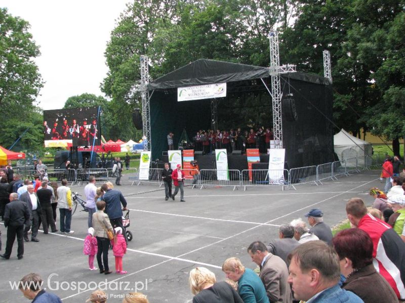 Festiwal Wieprzowiny w Koźminie Wielkopolskim 2013