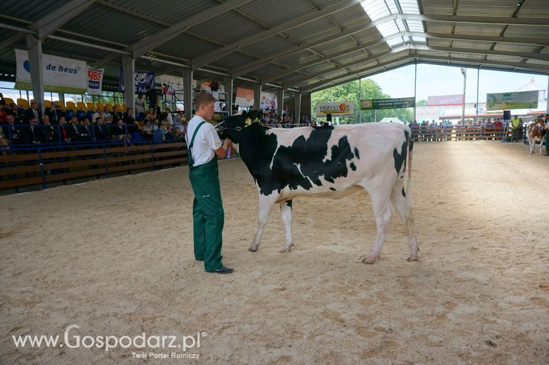 Wystawa zwierząt w Szepietowie