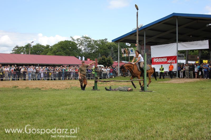 XVIII Regionalna Wystawa Zwierząt Hodowlanych i Dni z Doradztwem Rolniczym w Szepietowie - Sobota