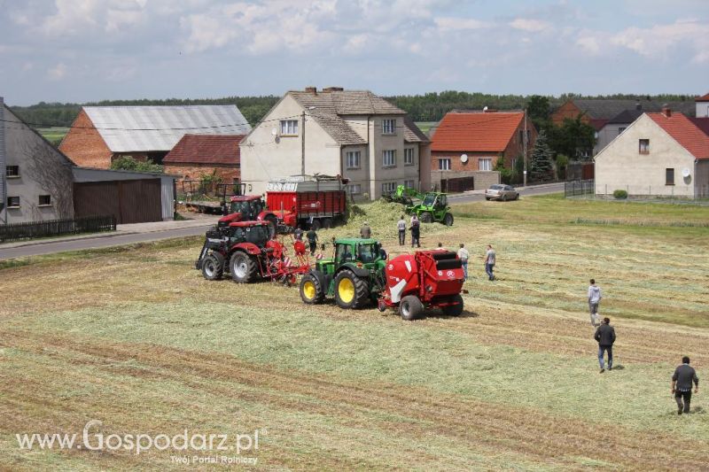 Pokazy polowe Romanów k/Krotoszyna