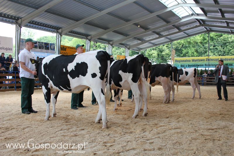 Wręczenie nagród na XVIII Regionalnej Wystawie Zwierząt Hodowlanych w Szepietowie