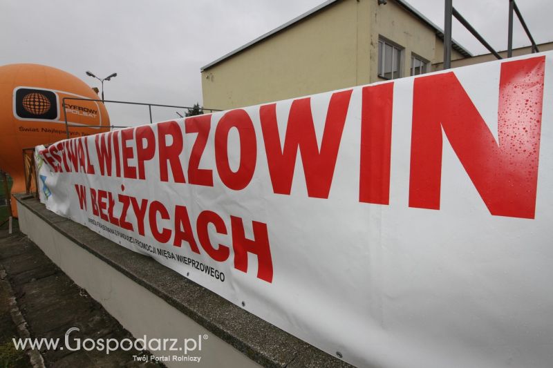 Festiwal Wieprzowiny w Bełżycach - niedziela