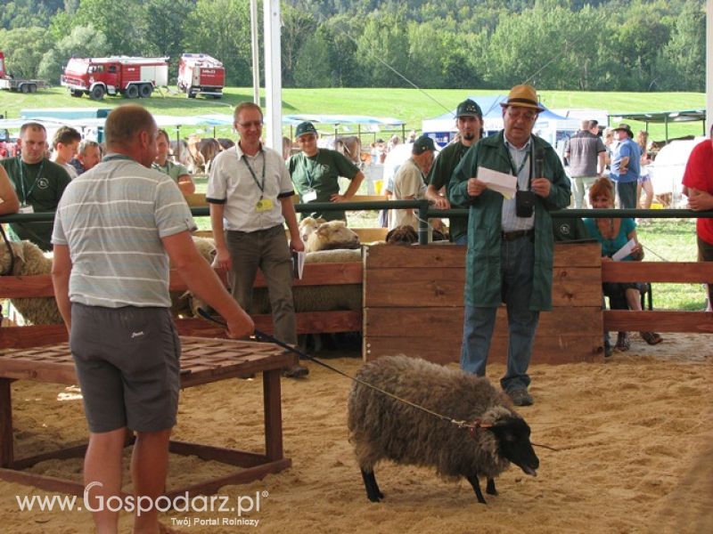 Krajowa Wystawa Ras Rodzimych Rudawka Rymanowska 2012