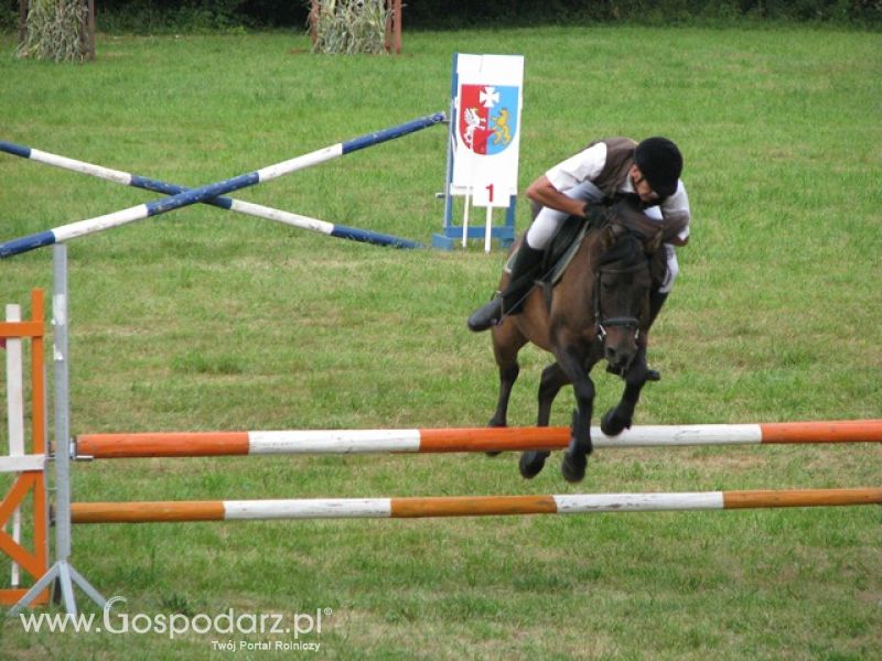 Krajowa Wystawa Ras Rodzimych Rudawka Rymanowska 2012