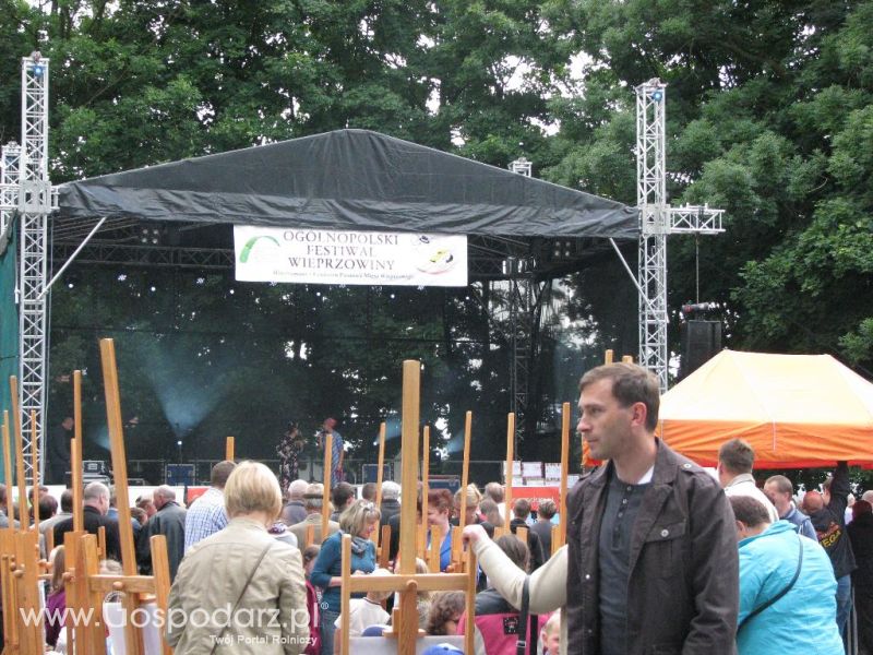 Festiwal Wieprzowiny w Koźminie Wielkopolskim 2013