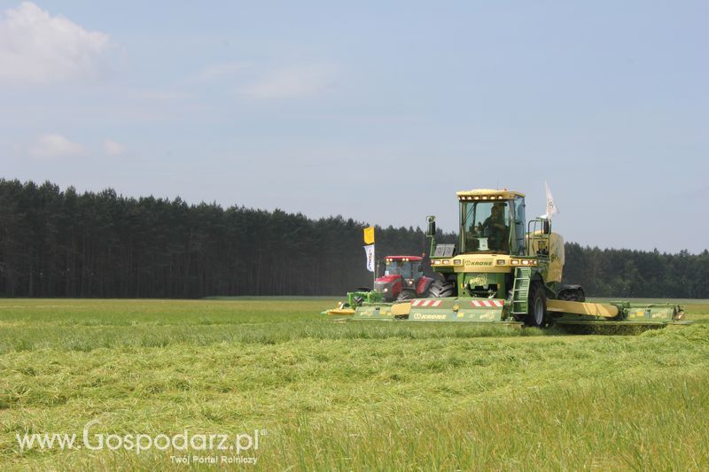 Zielone Agro Show pokaz maszyn rolniczych