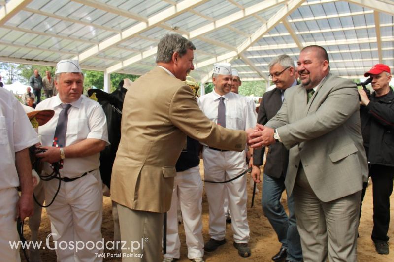 Championi VII Ogólnopolskiej Wystawy Bydła Hodowlanego - Sielinko 2012