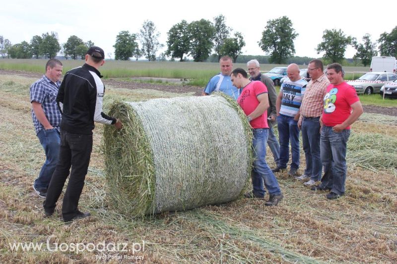 Pokazy polowe Romanów k/Krotoszyna