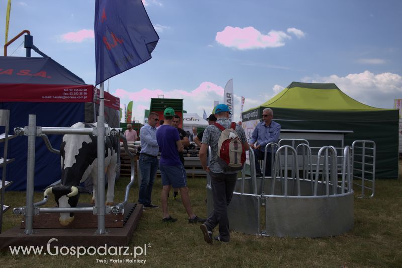 Niedziela na Opolagrze 2016 razem z Gospodarz.pl