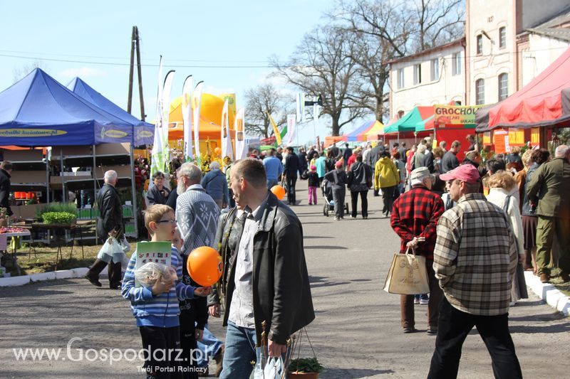 XX Agro-Targi 2011 w Starej Łubiance