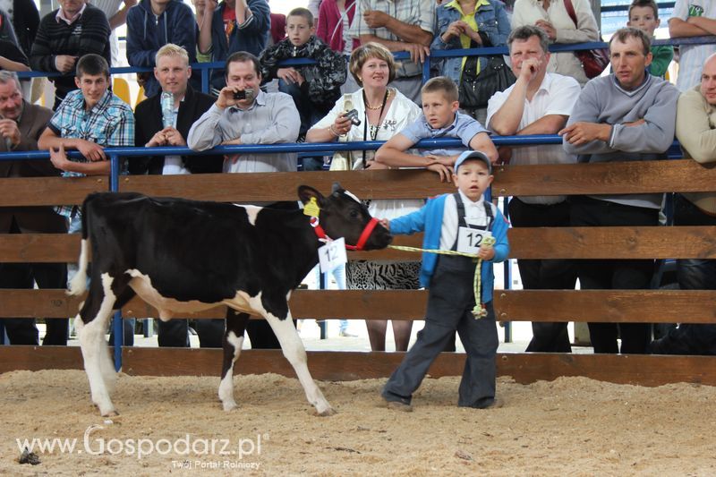 Młody hodowca na XVIII Regionalnej Wystawie Zwierząt Hodowlanych w Szepietowie