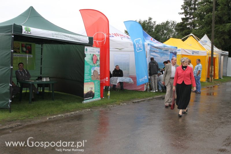 Festiwal Wieprzowiny w Bełżycach - niedziela