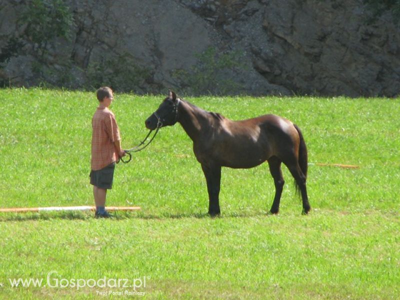 Krajowa Wystawa Ras Rodzimych Rudawka Rymanowska 2012