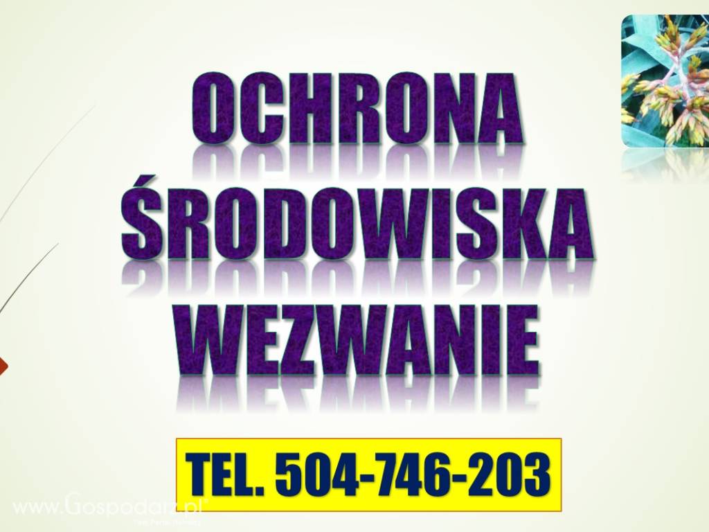 Odwołanie od kary - ochrona środowiska 3