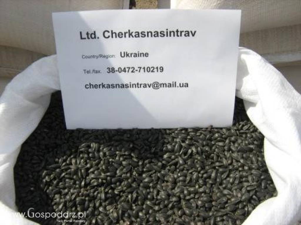 Ltd.Cherkasnasintrav 3