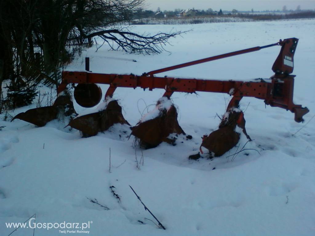 Sprzedam pług zagonowy czteroskibowy VOGEL & NOOT 6