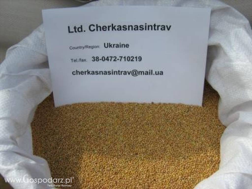 Ltd.Cherkasnasintrav 6