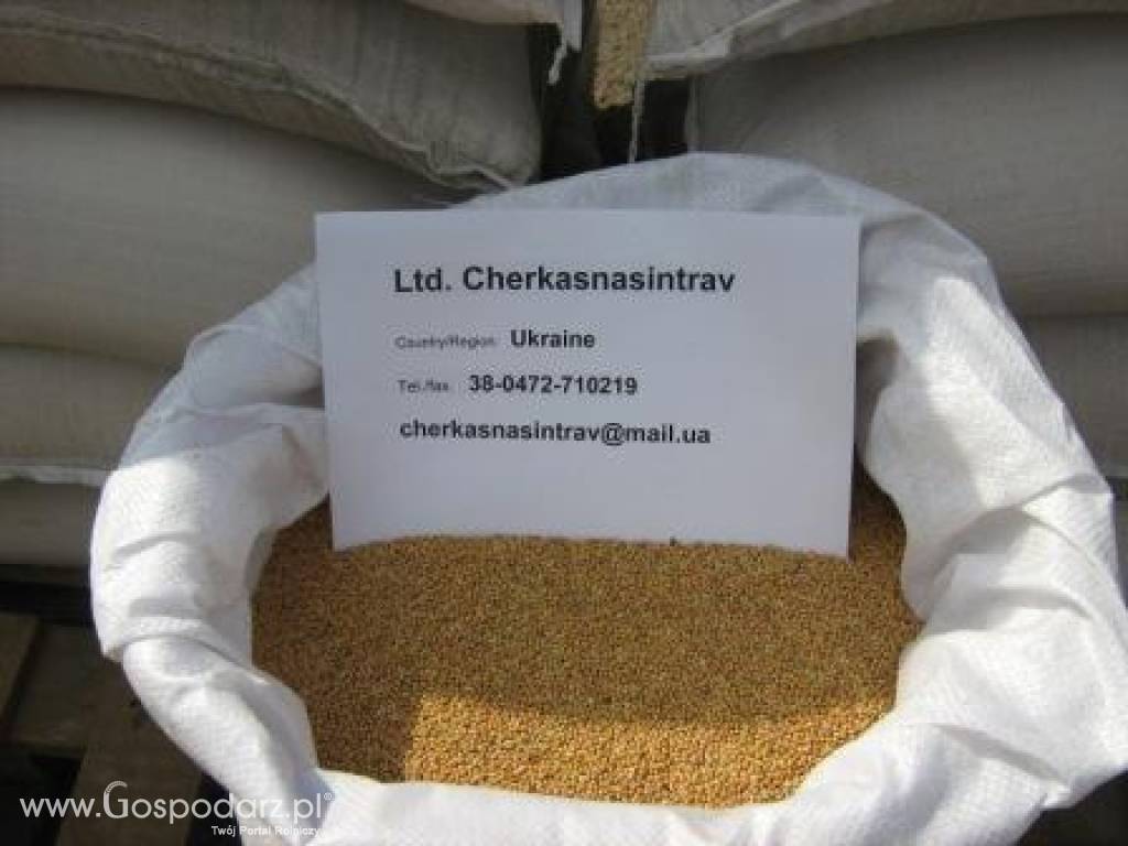 Ltd.Cherkasnasintrav 8