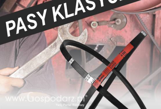 Pasy klinowe klasyczne