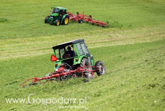 Przetrząsacz karuzelowy Sip SPIDER 400|4 ALP