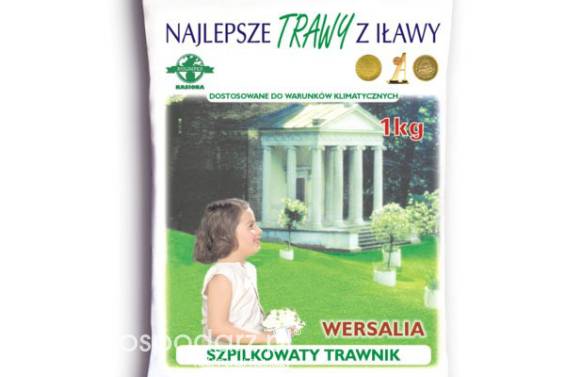 Trawa, nasiona trawy WERSALIA folia masa: 1kg, mieszanka gazonowa na gleby lekki Rolimpex