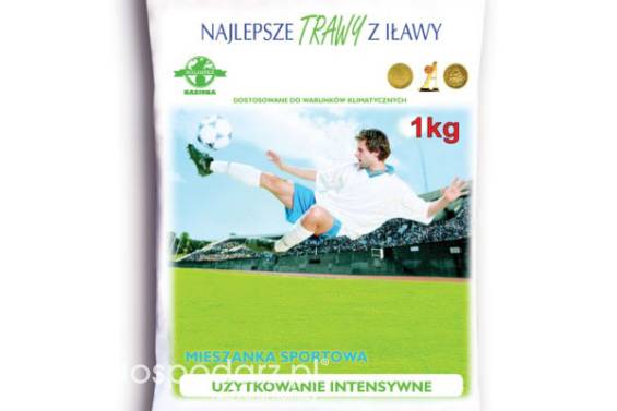 Trawa, nasiona trawy SPORTOWA masa: 10kg, mieszanka traw na intensywne użytkowanie Rolimpex