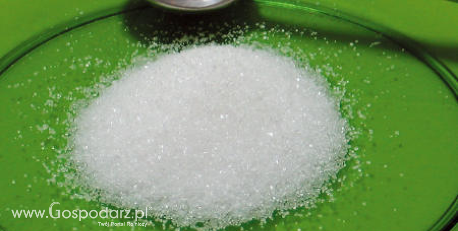 Rekordowa realizacja marcowego kontraktu na cukier surowy