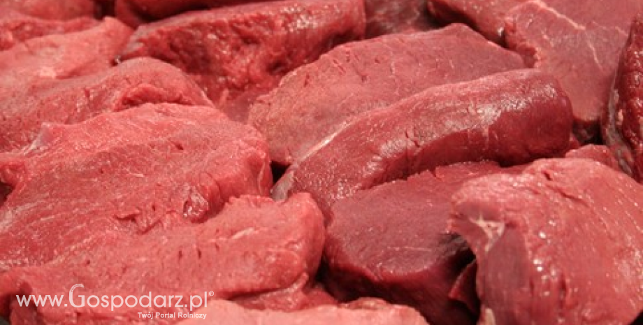 W negocjacjach UE-kraje Mercosur mięso wołowe może wrócić na stół