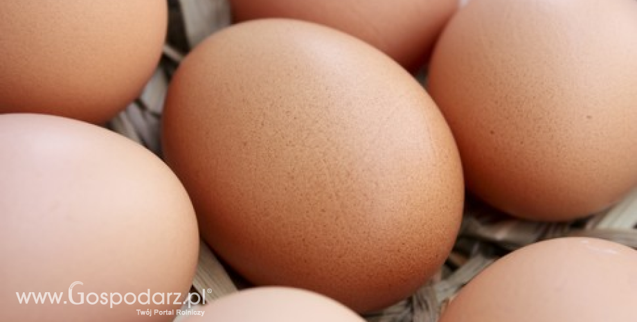 Ceny kurcząt całych i jaj konsumpcyjnych w UE (18-25.05.2015)