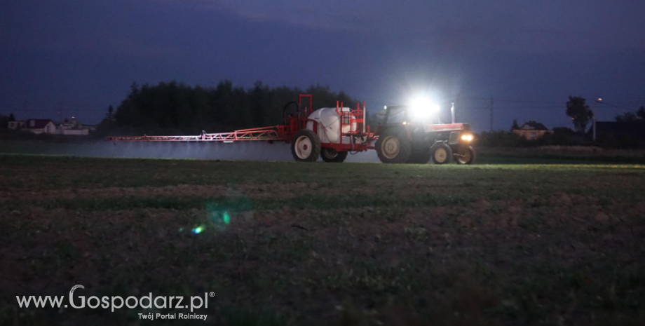 Czy wiesz, jak zwalczyć chwasty na plantacjach, na których jesienią nie zastosowano herbicydów?