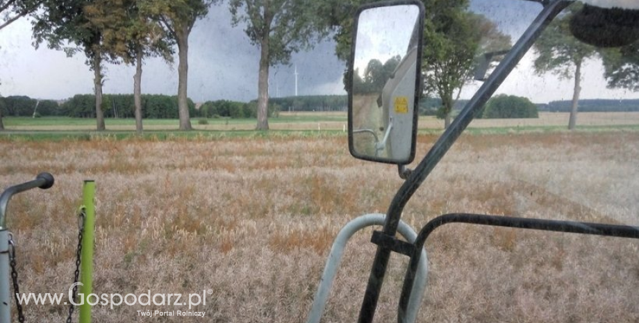 Ubezpieczenia upraw rolnych i zwierząt gospodarskich. Rolnicy wnioskują o ograniczenie zapisów ogólnych warunków ubezpieczeń