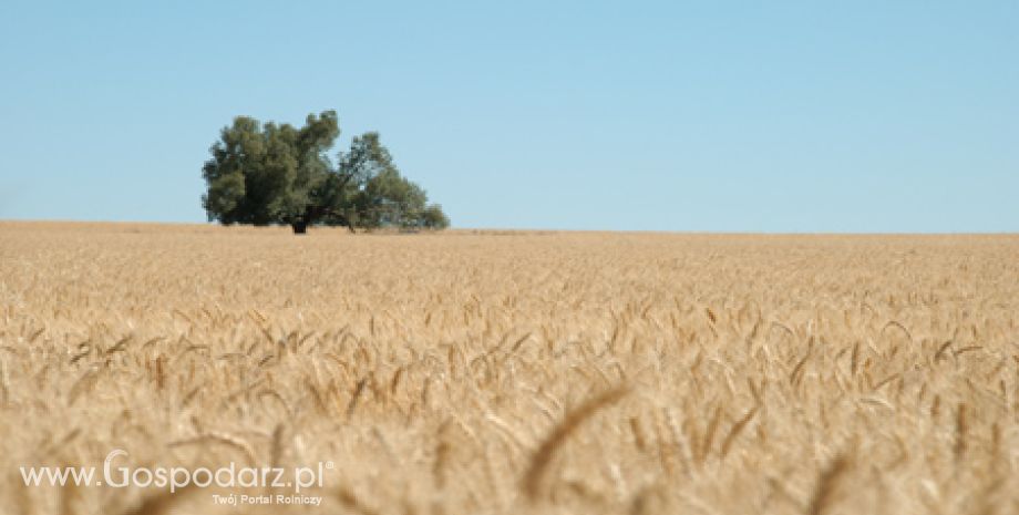 Wystawa rolno-spożywcza AGROKOMPLEKS w Kaliningradzie, 18-20 października 2012r. - możliwe dofinansowanie udziału